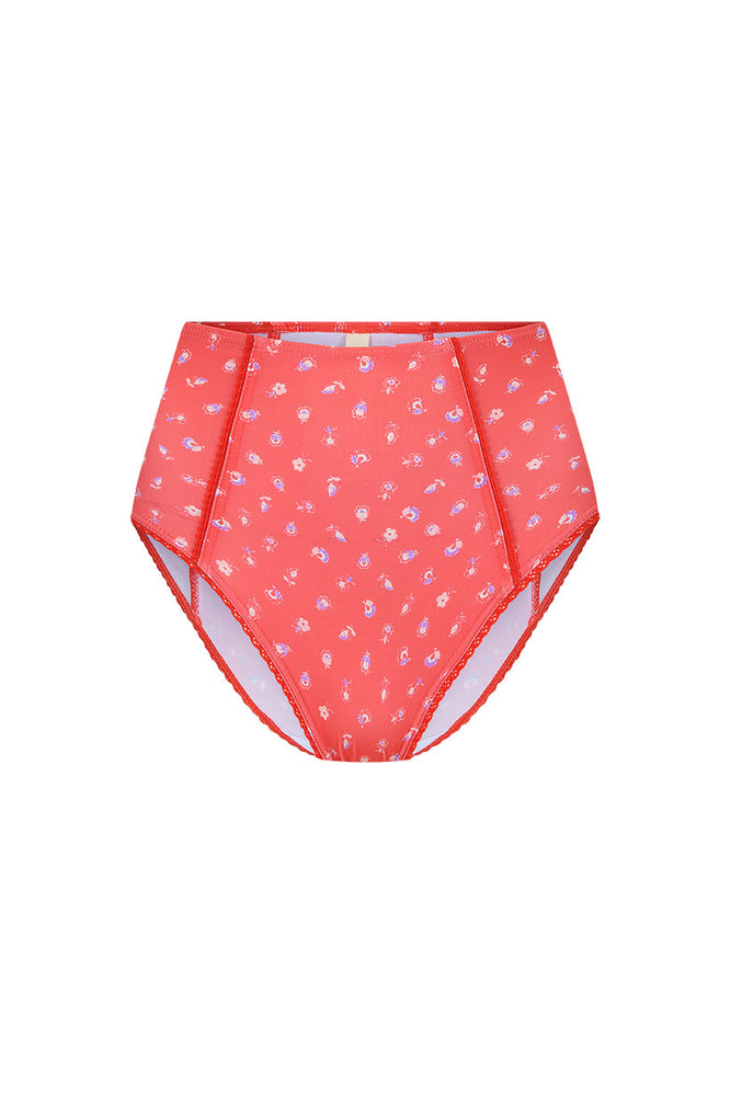 Sunshine Bandit High Waisted Brief