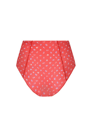 sunshine-bandit-high-waisted-brief